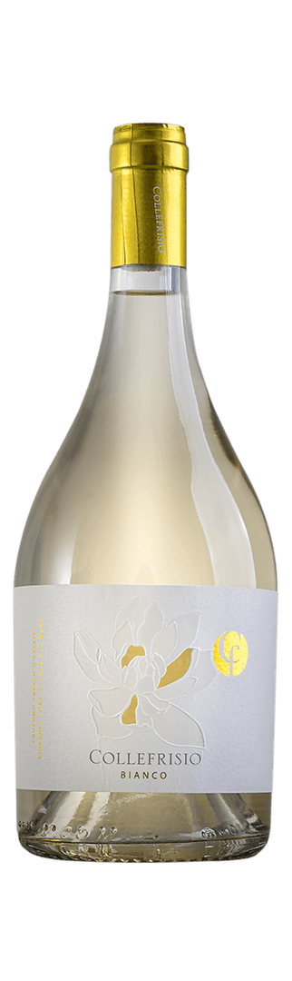 COLLEFRISIO Magnolia bianco IGT belo vino 0,75 l