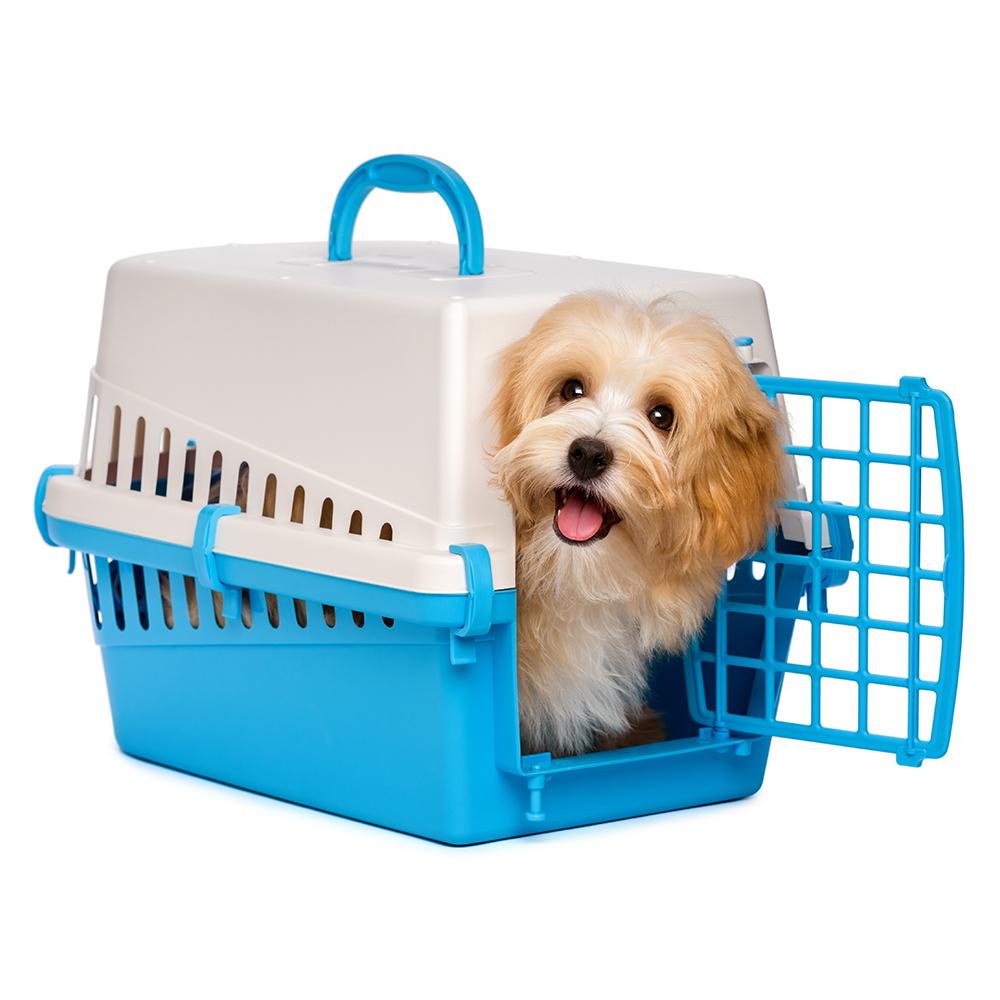 Transporteri, torbe i kavezi za pse