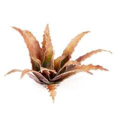 0 thumbnail image for GAMERSGRASS Imitacija biljaka za ukrašavanje minijatura Red Aloe