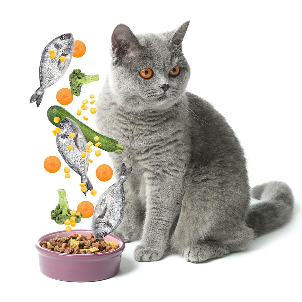 Medicinska hrana za mačke